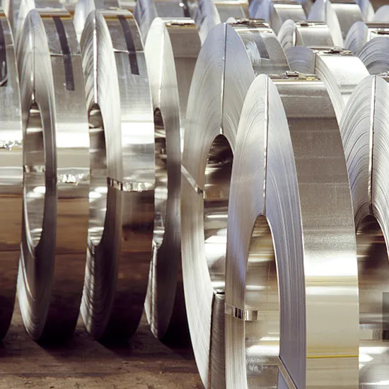 Limited - Zeitangebot! Hohe Qualität Inconel 600 Teller
