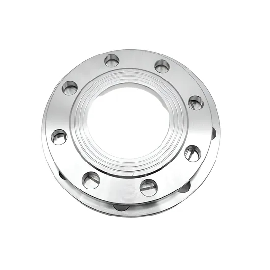 Tragen Sie hochtemperaturbeständiger Hastelloy C 22 Flansch